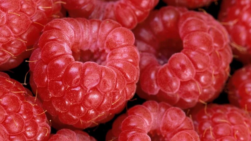Close-up of ripe raspberries