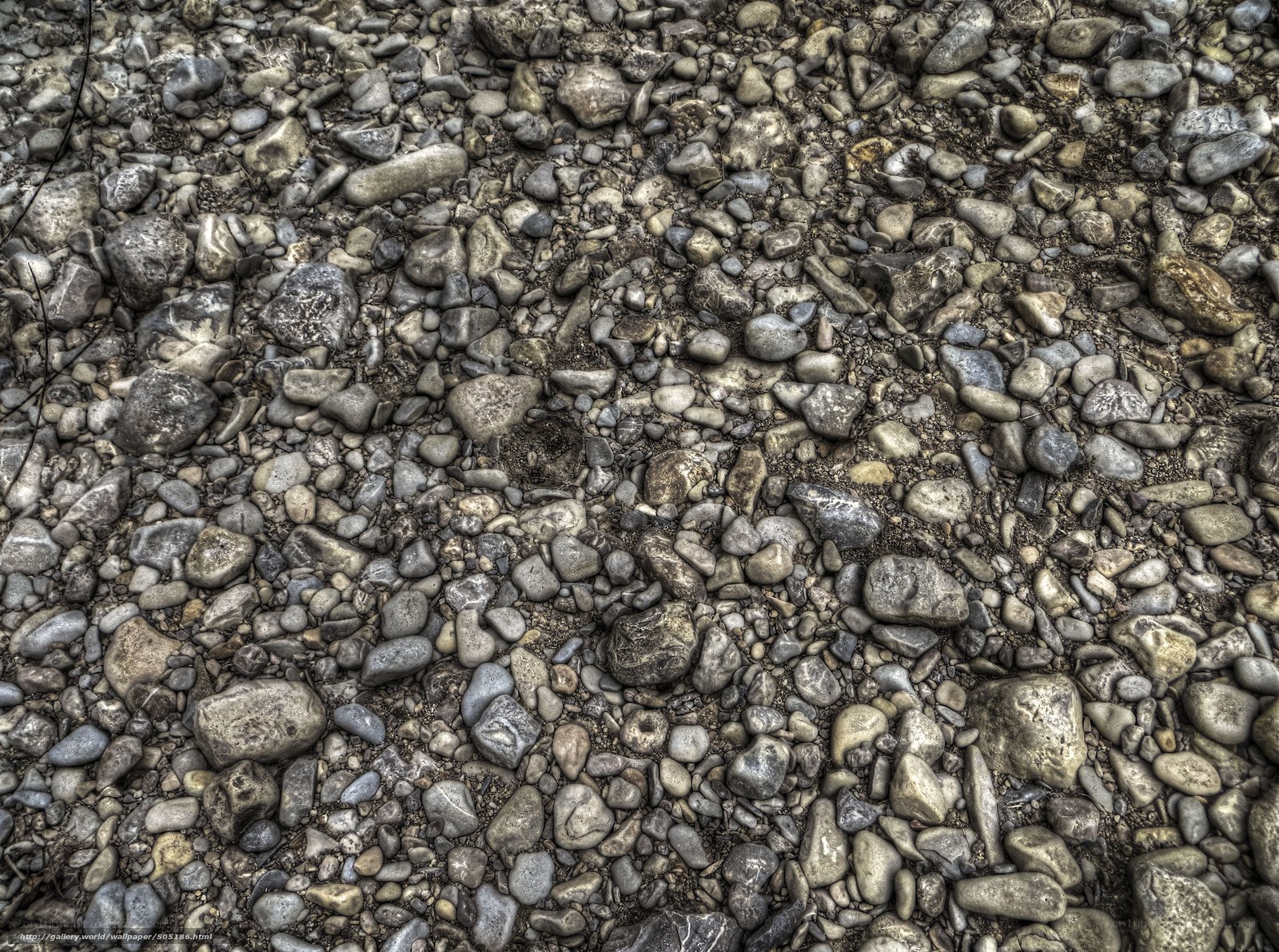 Close-up of river pebbles