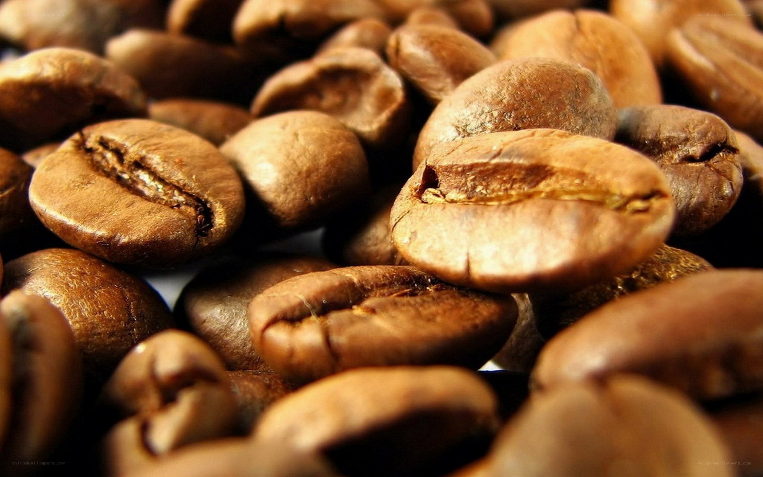 close-up of roasted coffee beans