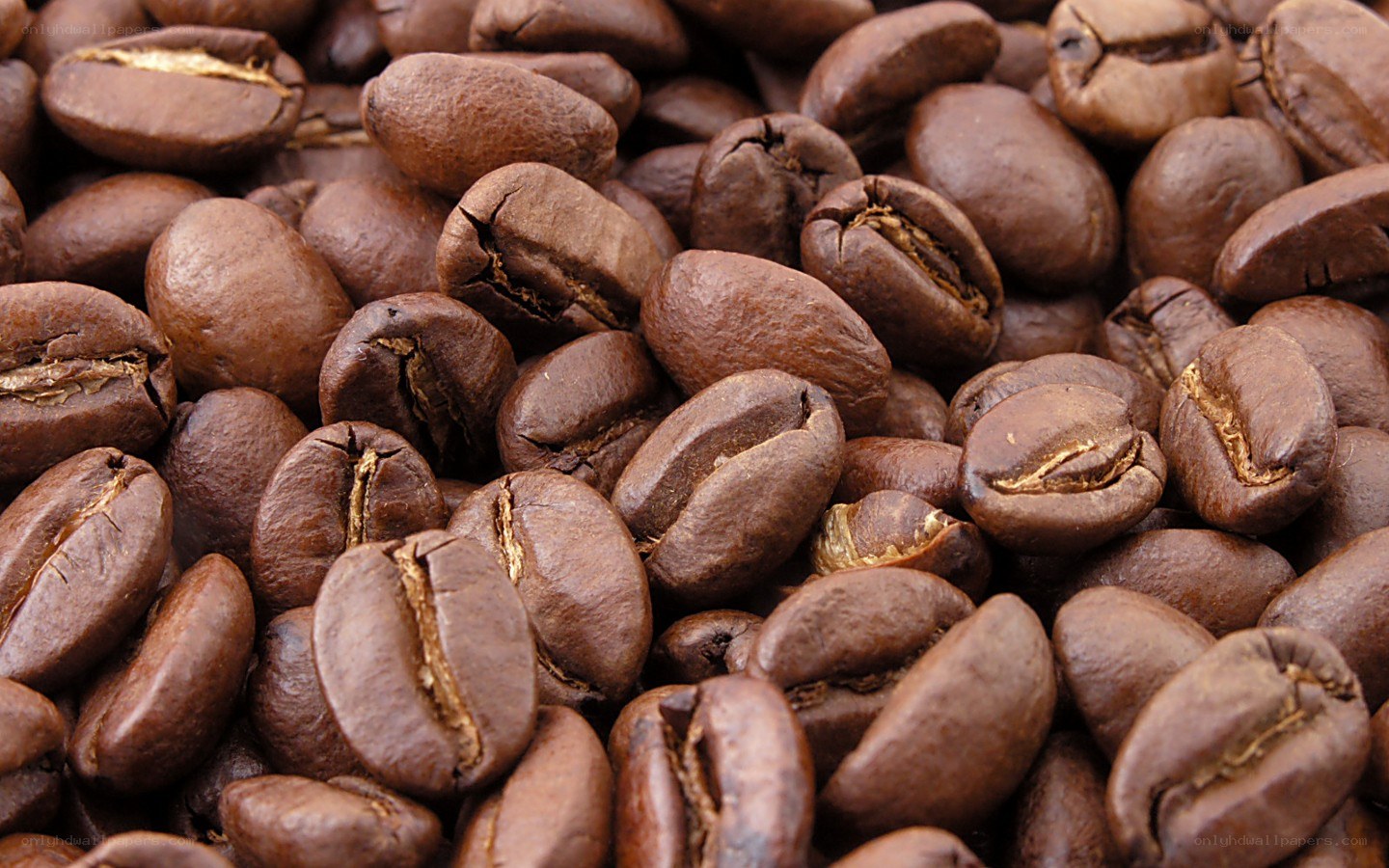 close-up of roasted coffee beans