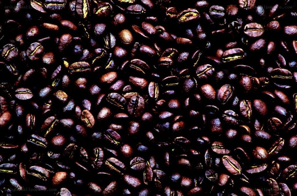 close-up of roasted coffee beans