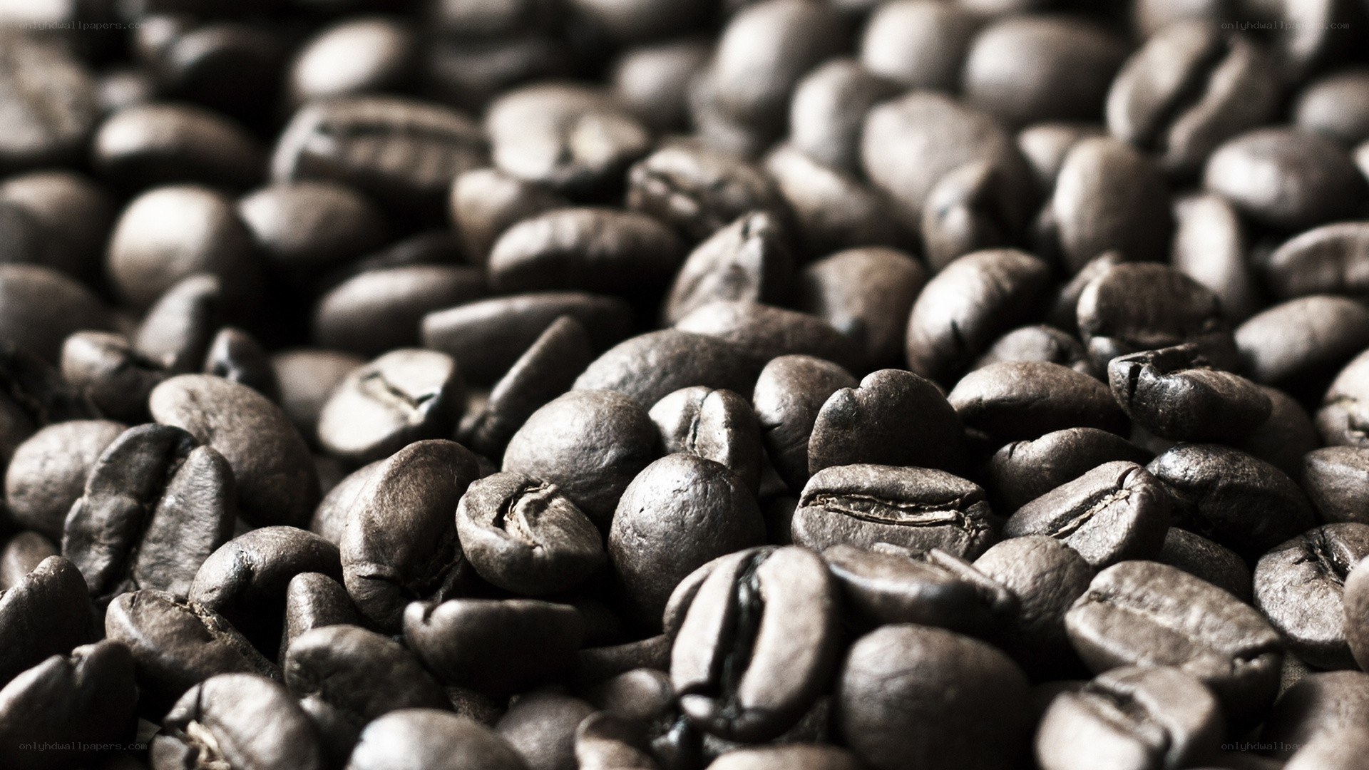 close-up of roasted coffee beans