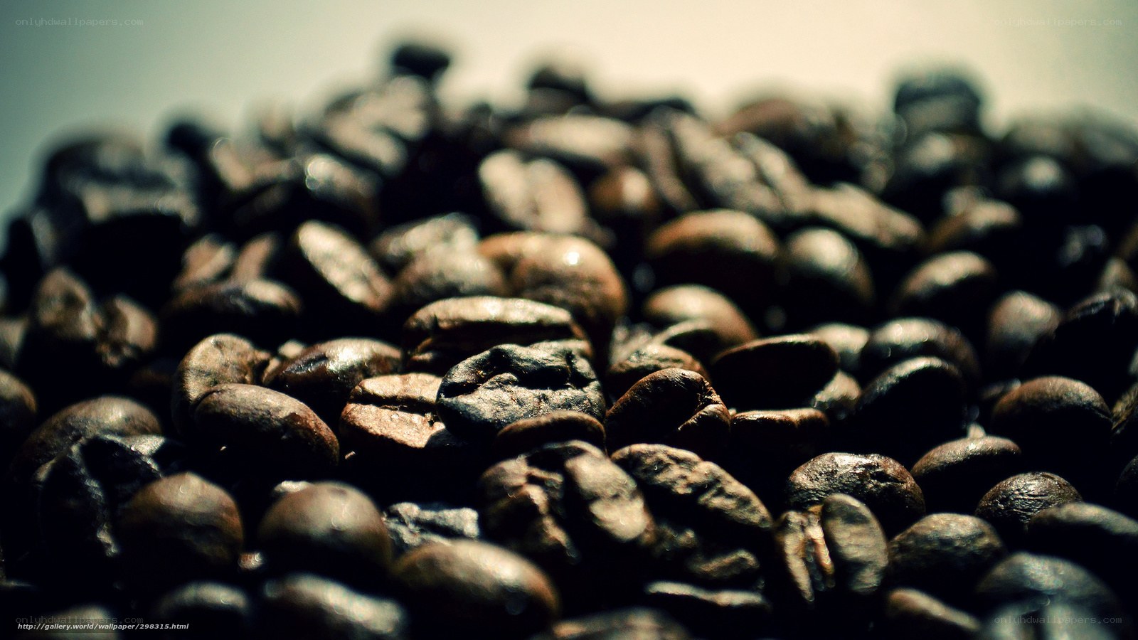 close-up of roasted coffee beans