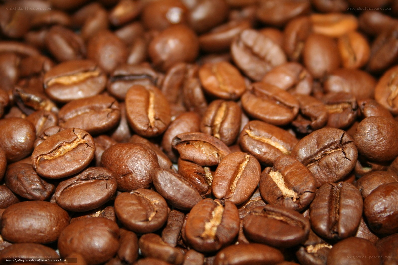 close-up of roasted coffee beans