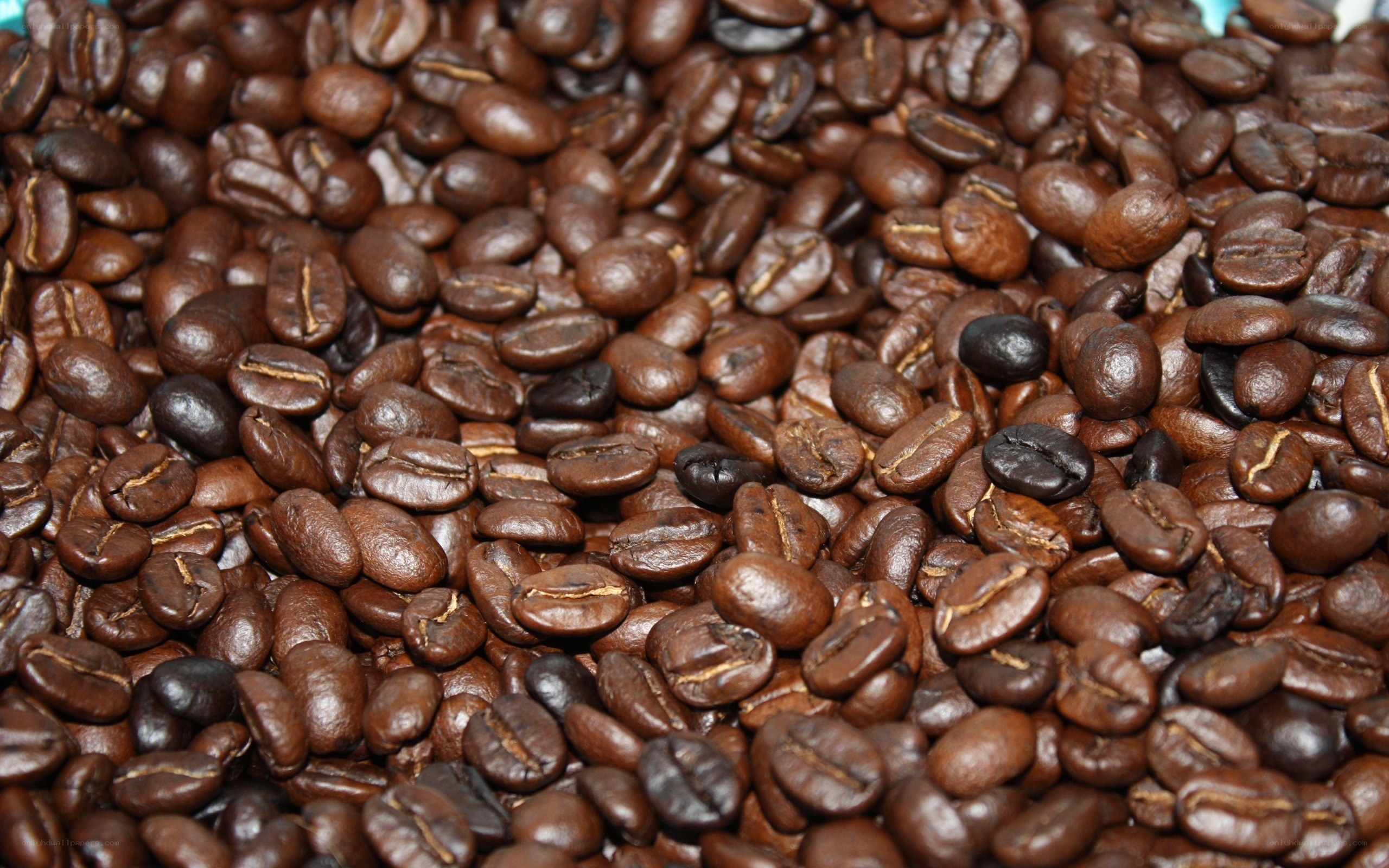 close-up of roasted coffee beans