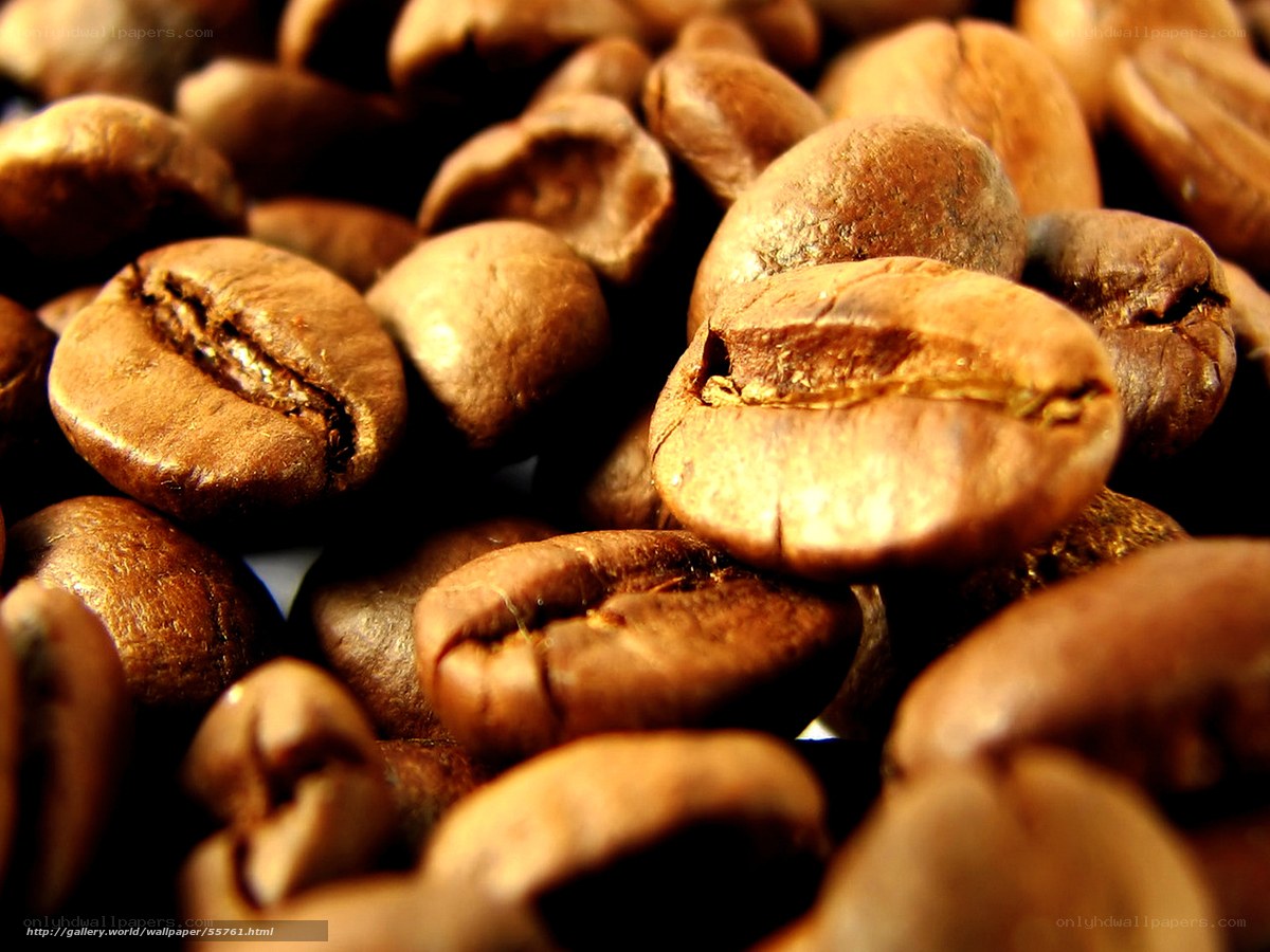 Close-up of roasted coffee beans