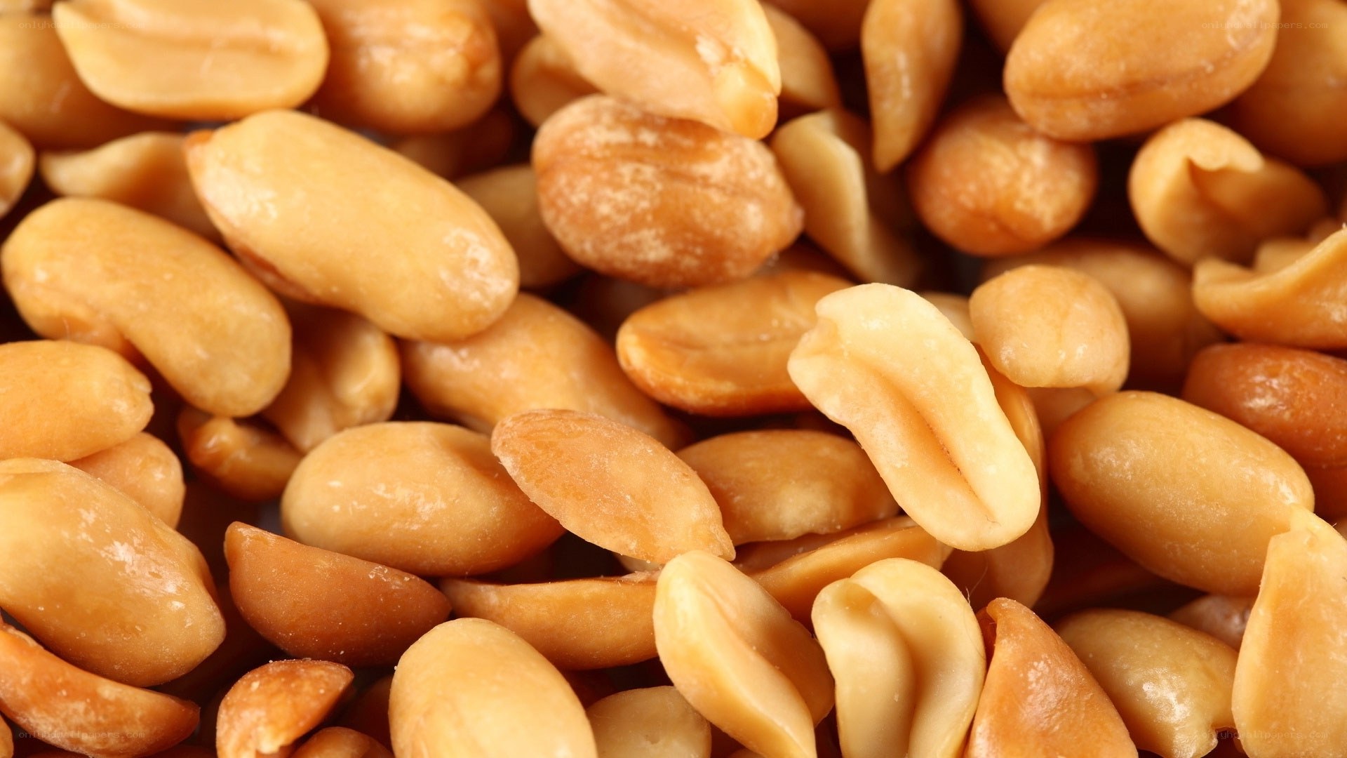 close-up of roasted peanuts