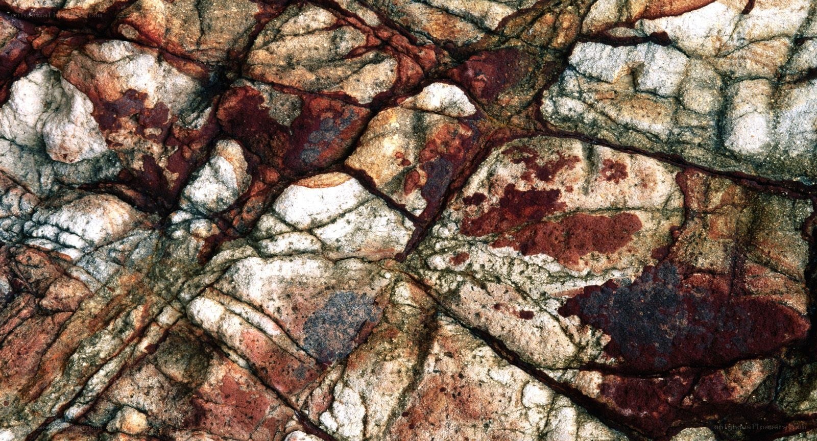 Close-up of rock texture