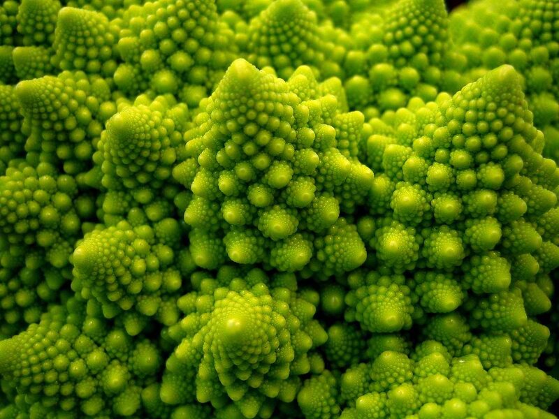 Close-up of Romanesco broccoli