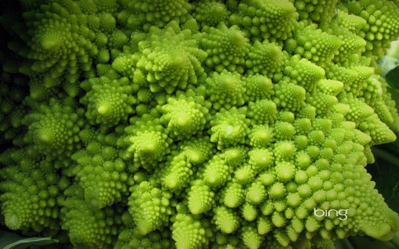 Close-up of Romanesco broccoli