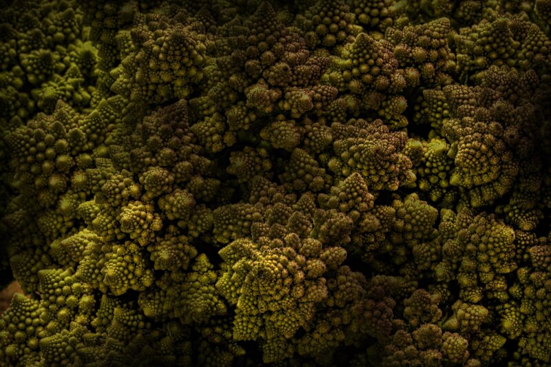 Close-up of Romanesco broccoli