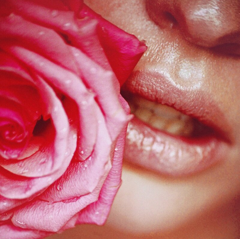 Close-up of Rose and Lips — Pink