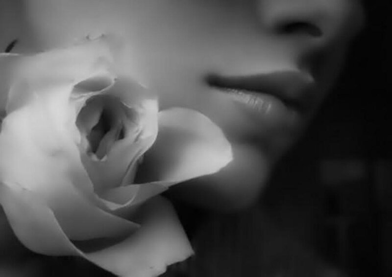 Close-up of Rose and Lips
