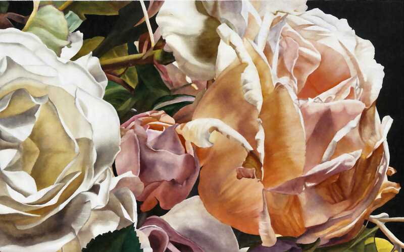 Close-up of Roses — White