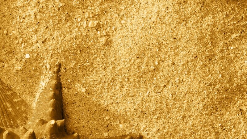 close-up of sand and shell