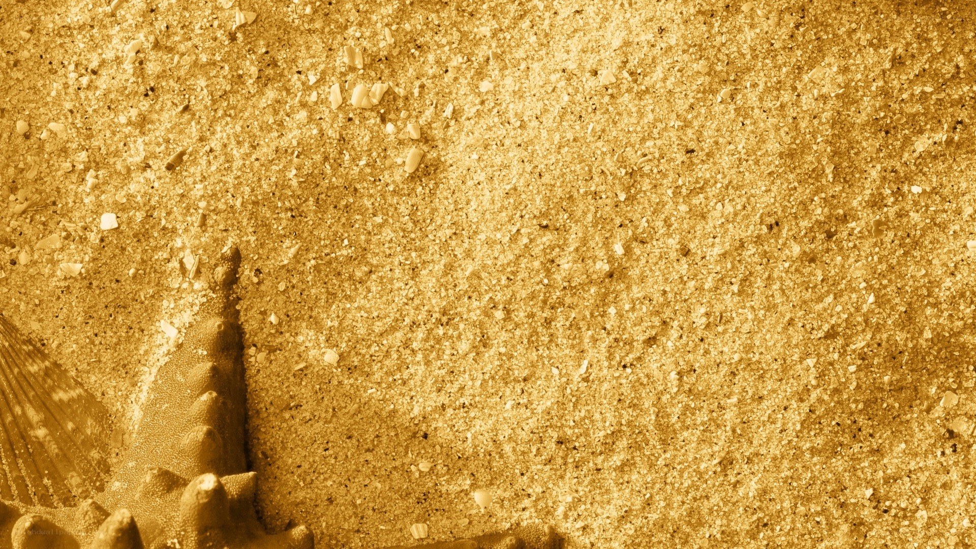 close-up of sand and shell