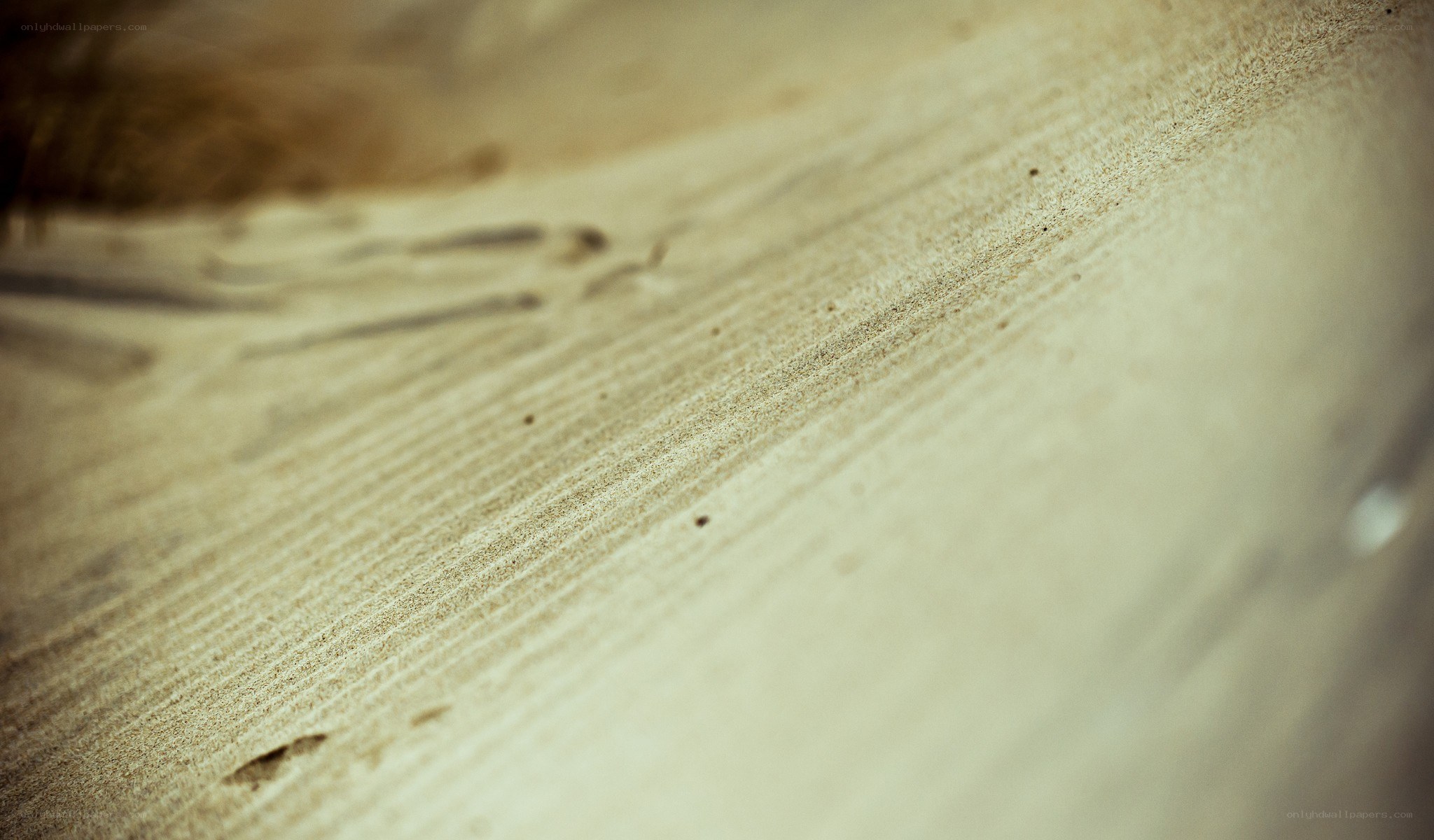 Close-up of sand texture