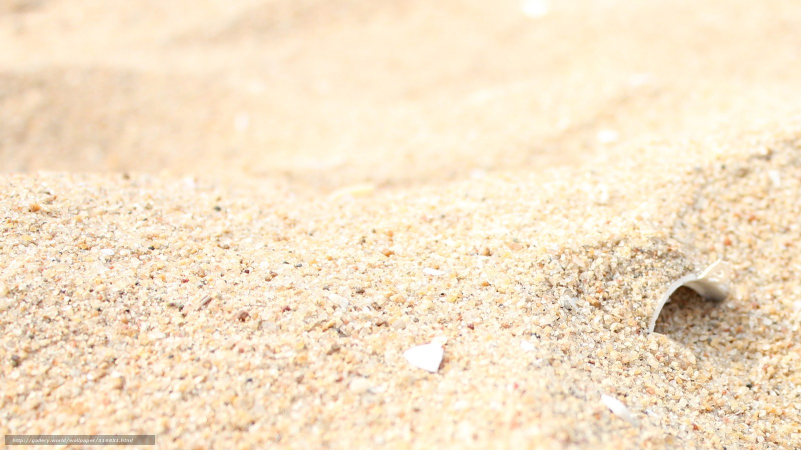 Close-up of sandy beach