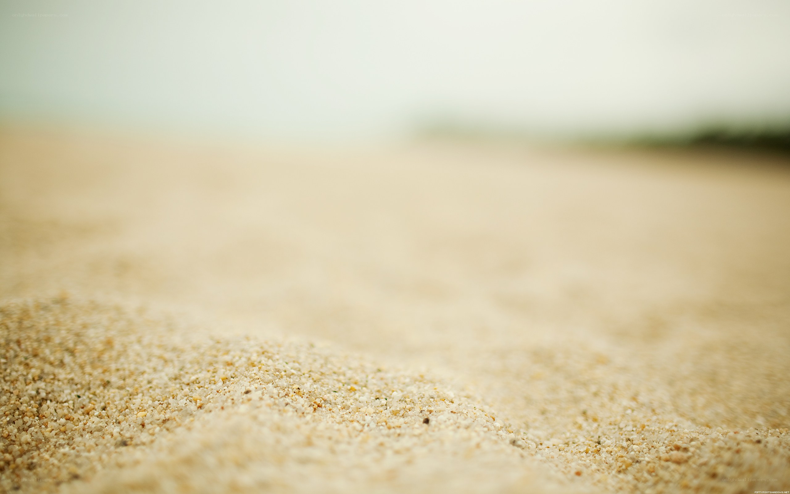close-up of sandy beach