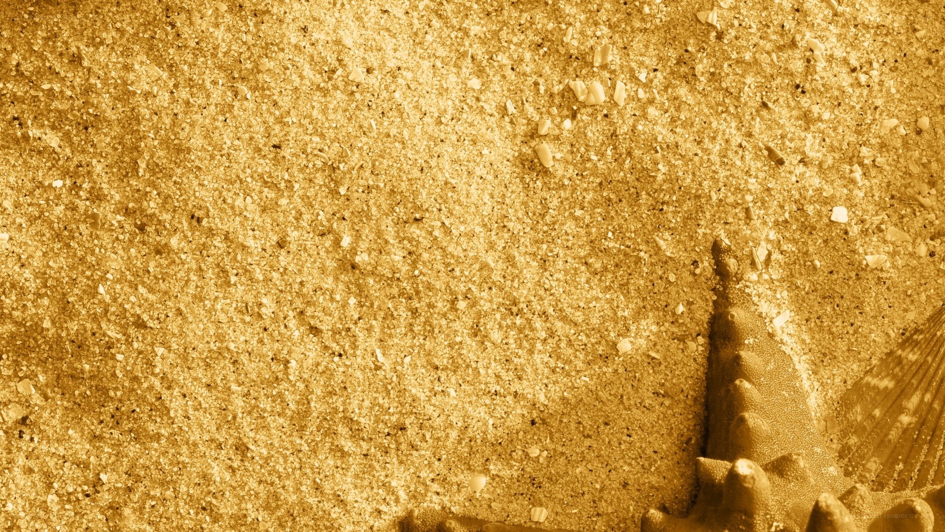 close-up of sandy beach
