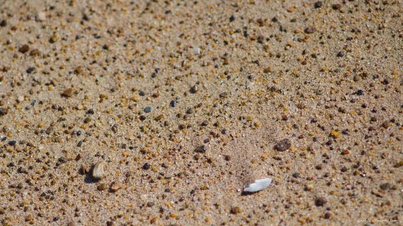 close-up of sandy beach