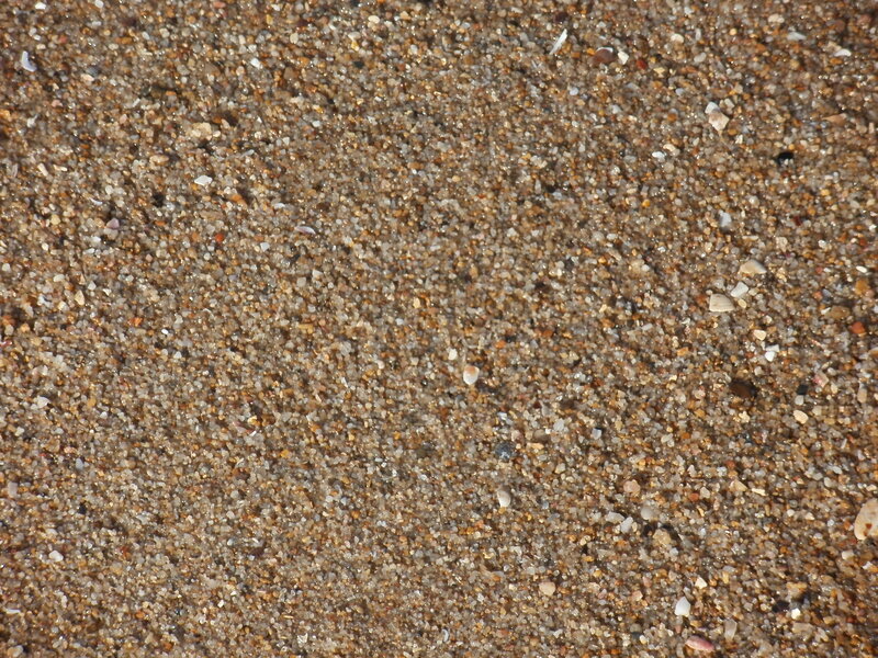 Close-up of Sandy Beach — Brown