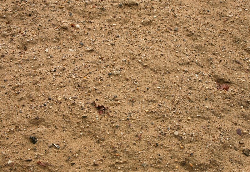 close-up of sandy ground