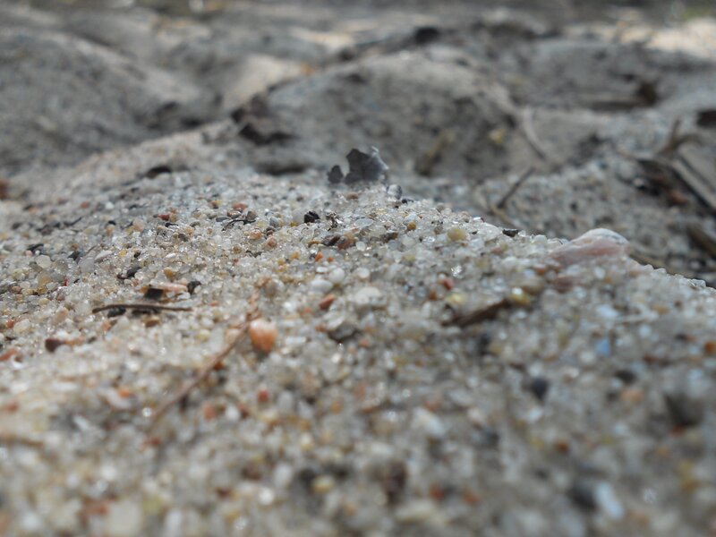 close-up of sandy ground