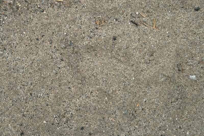 close-up of sandy ground