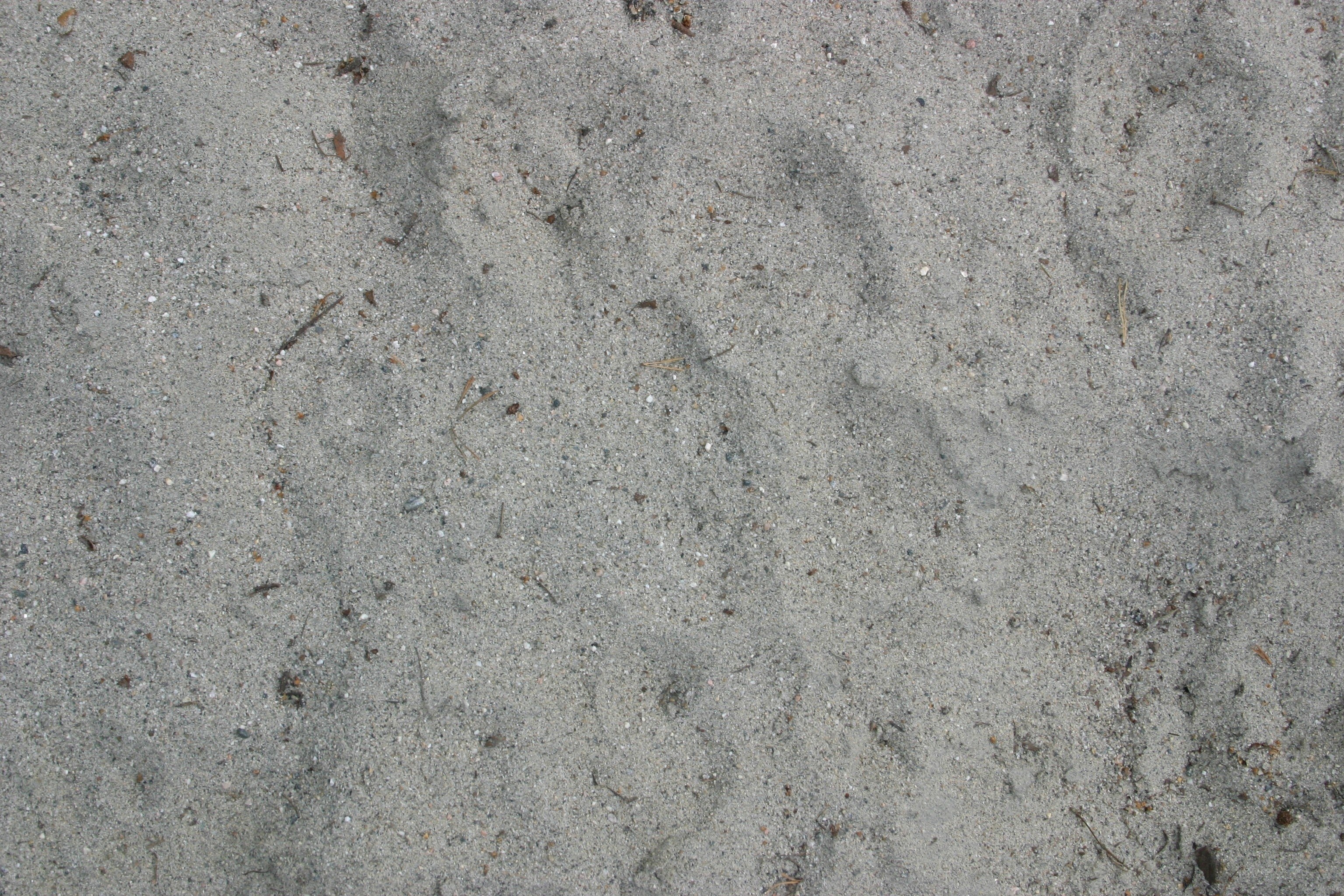 close-up of sandy ground