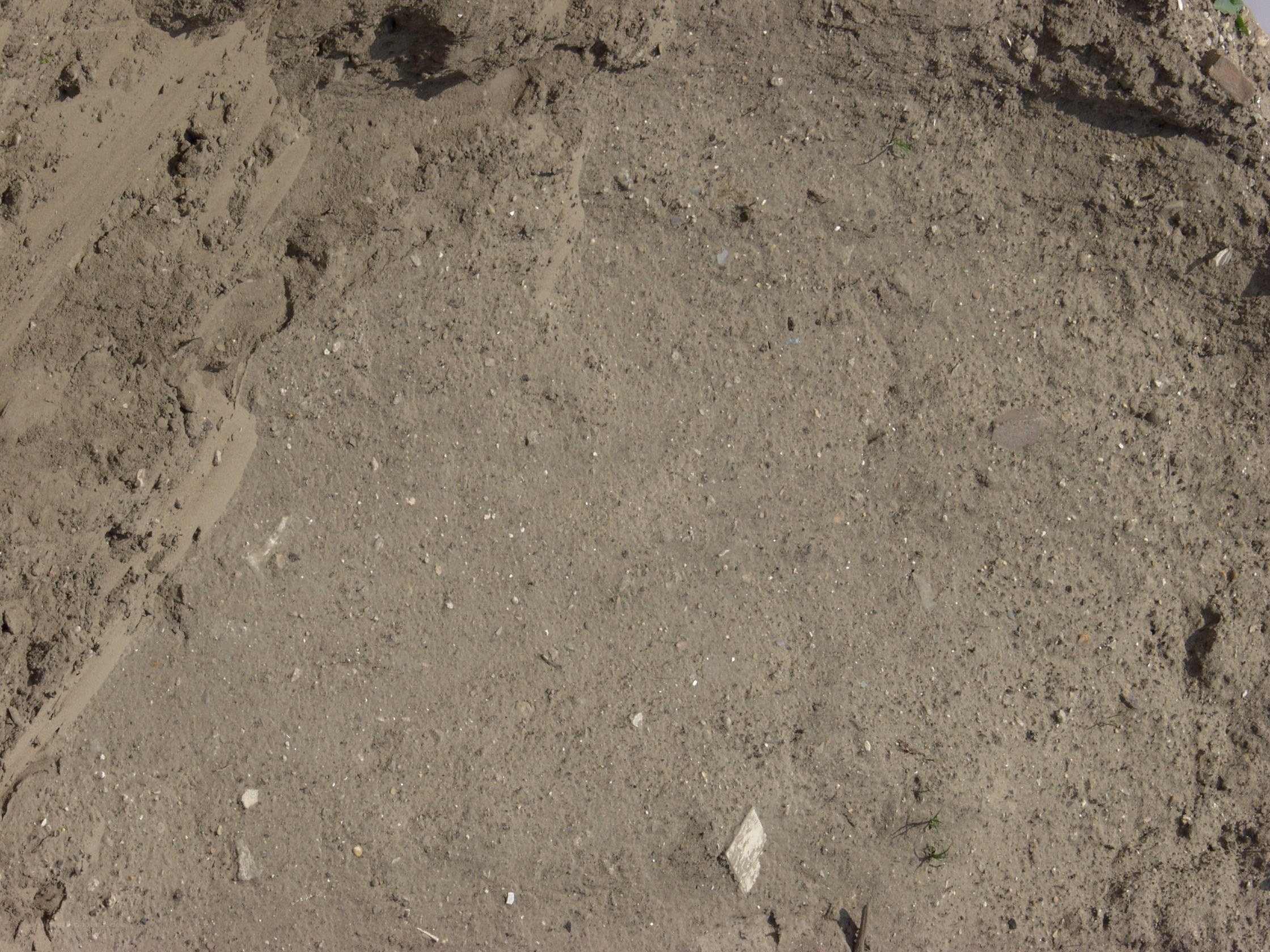 close-up of sandy ground