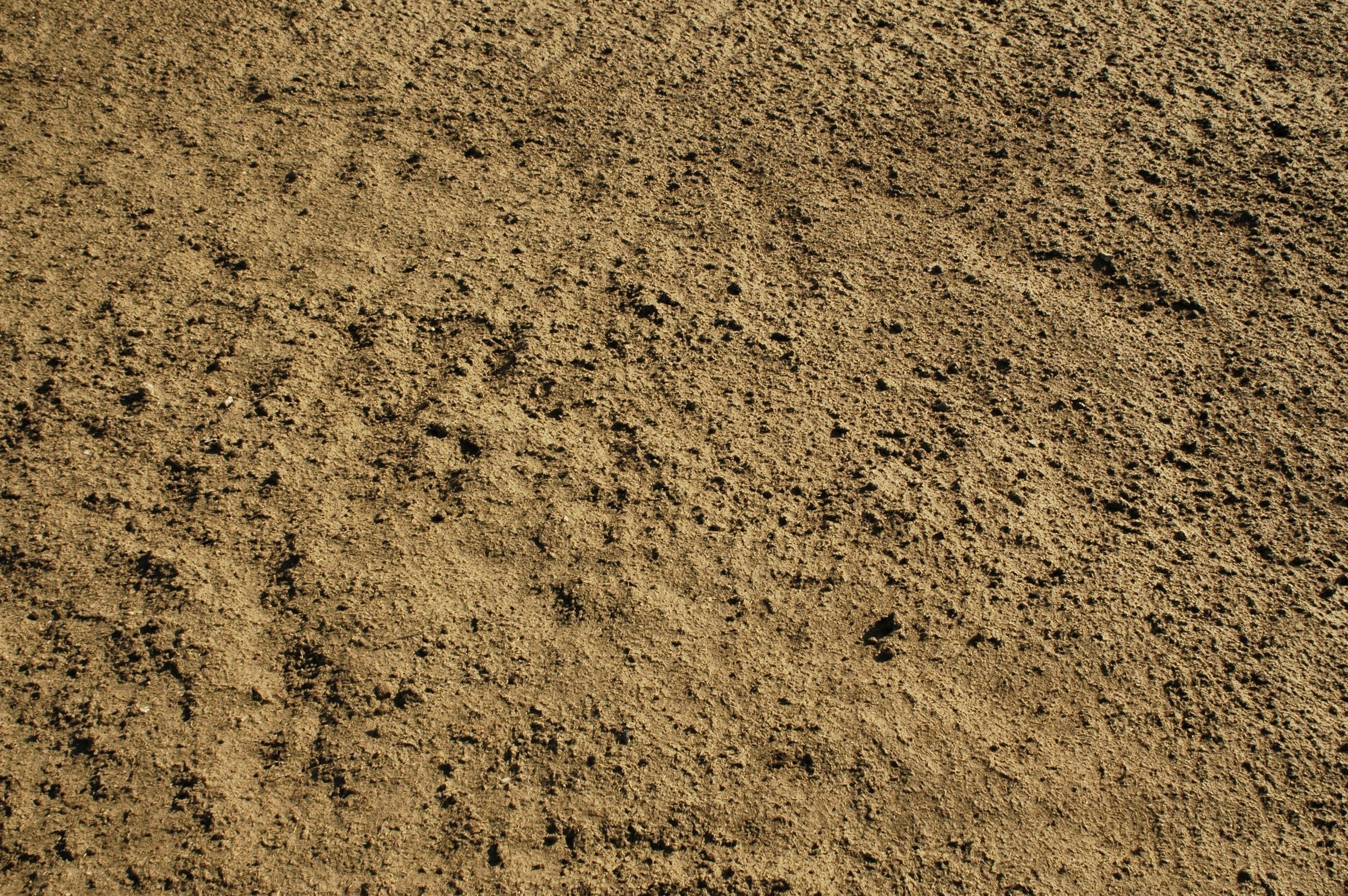 close-up of sandy texture