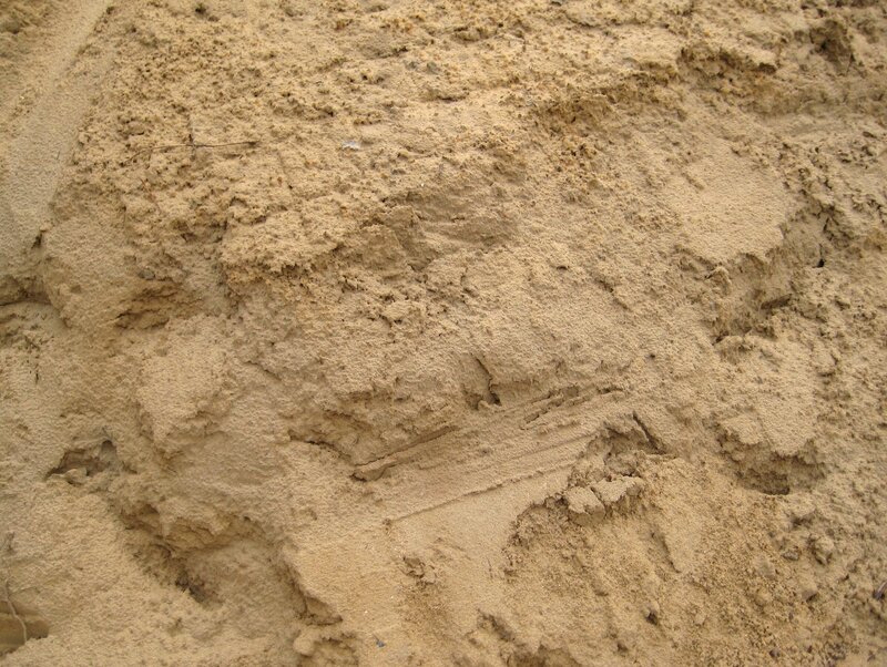 close-up of sandy texture