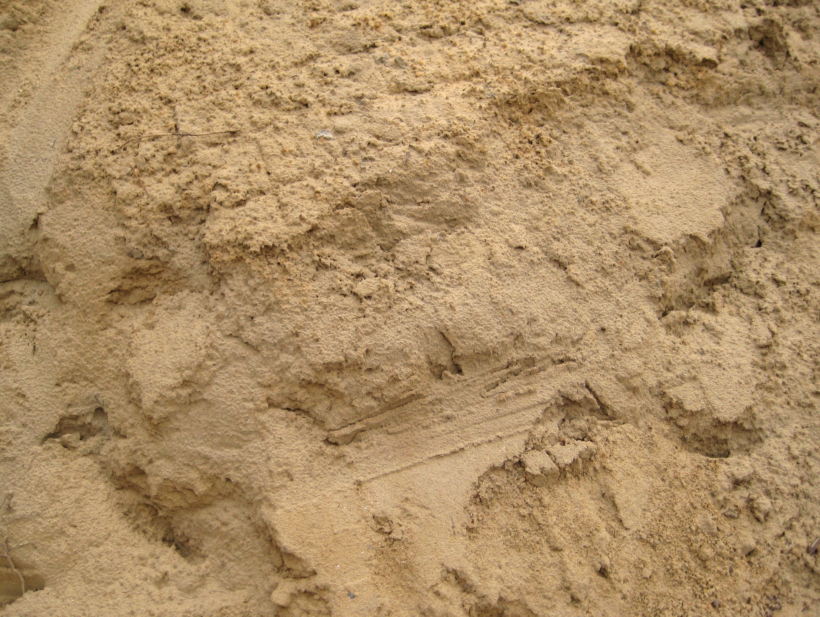 close-up of sandy texture