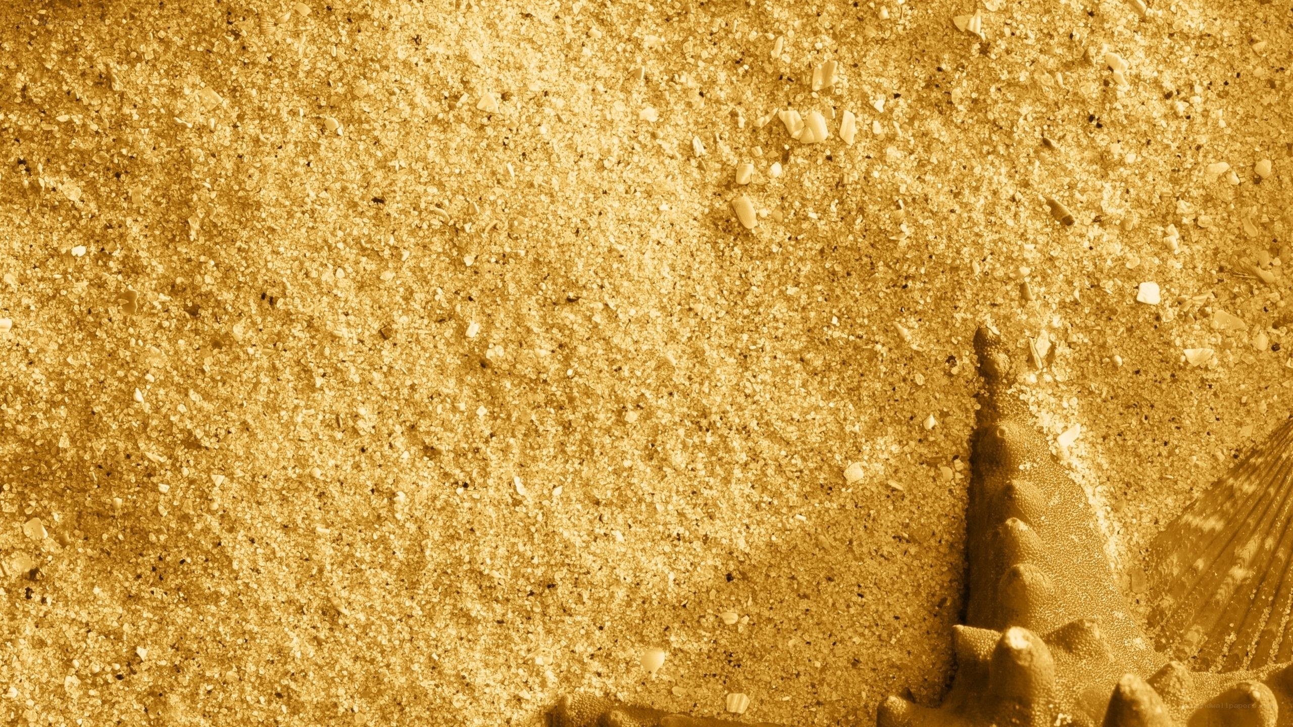 close-up of sandy texture