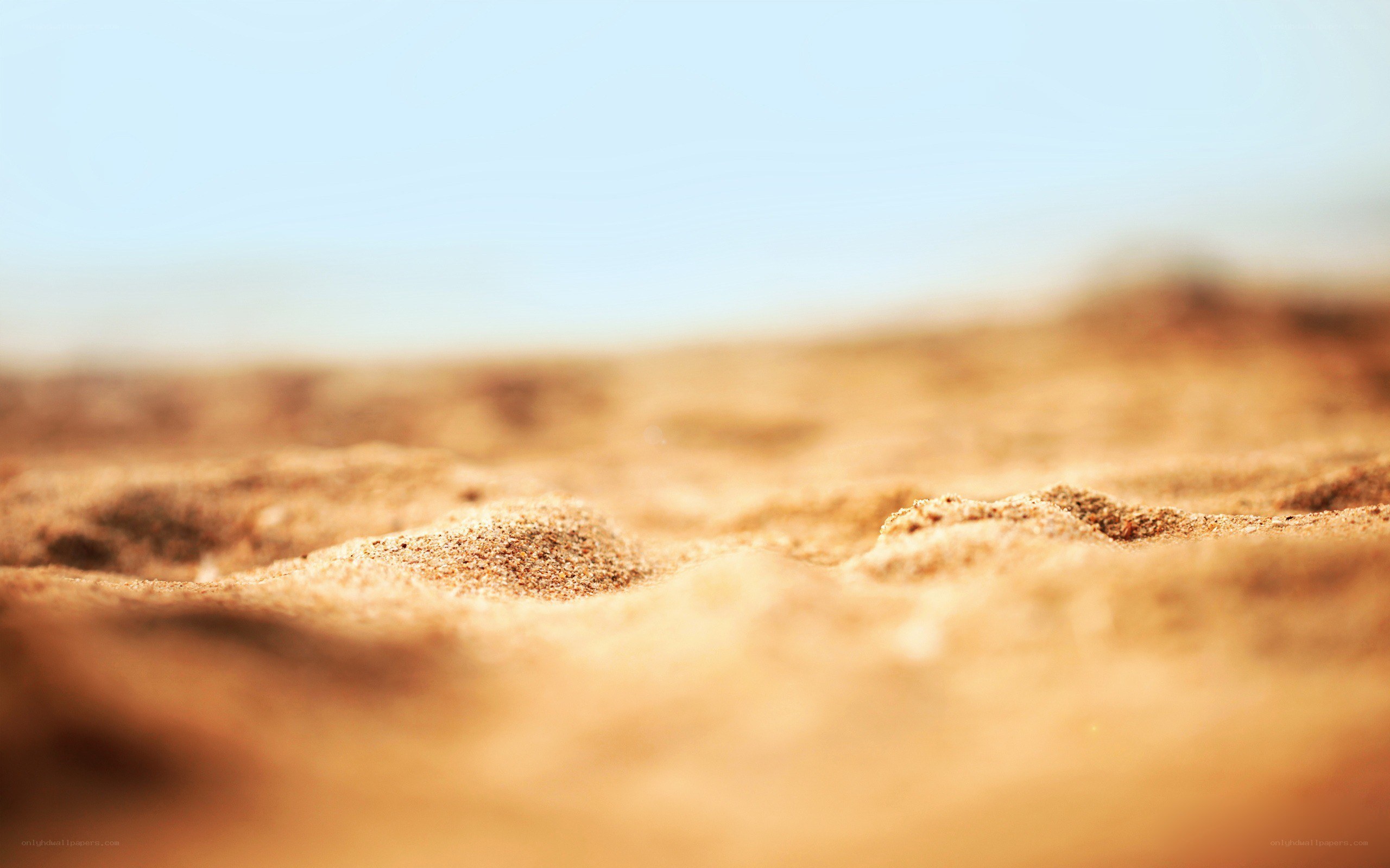 close-up of sandy texture