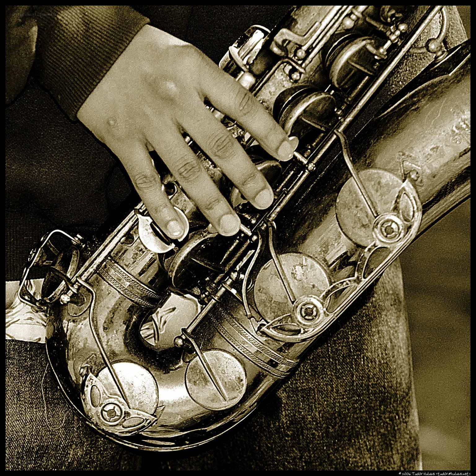 close-up of saxophone playing