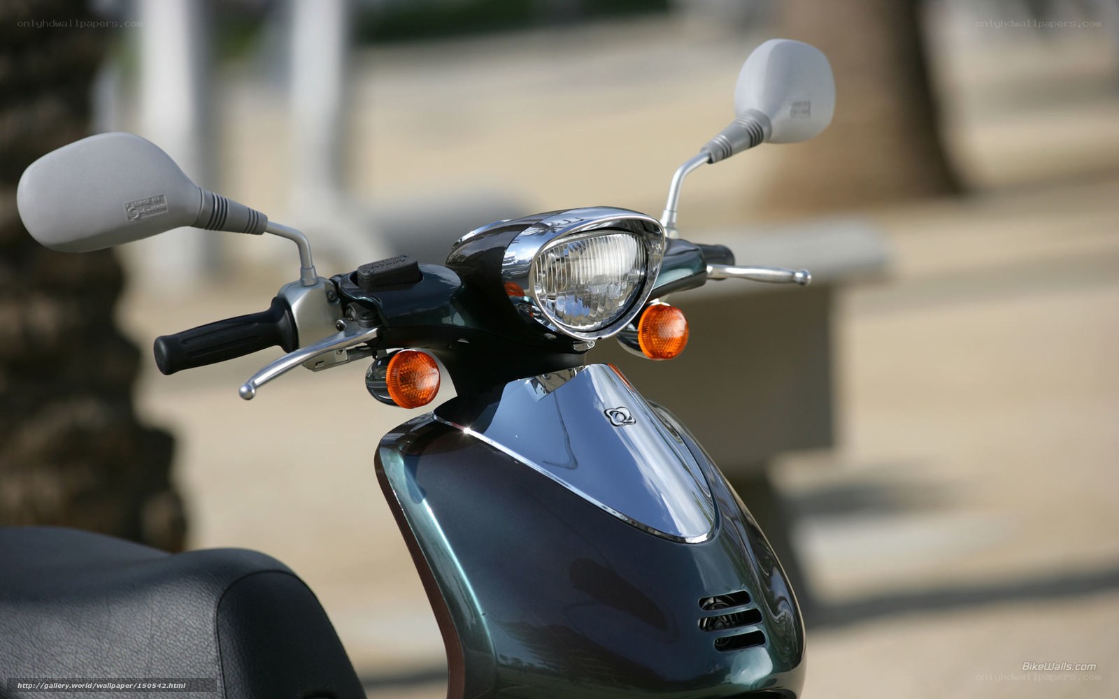 Close-up of scooter handlebars