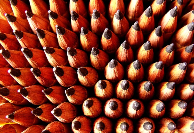 Close-up of Sharpened Pencils — Brown