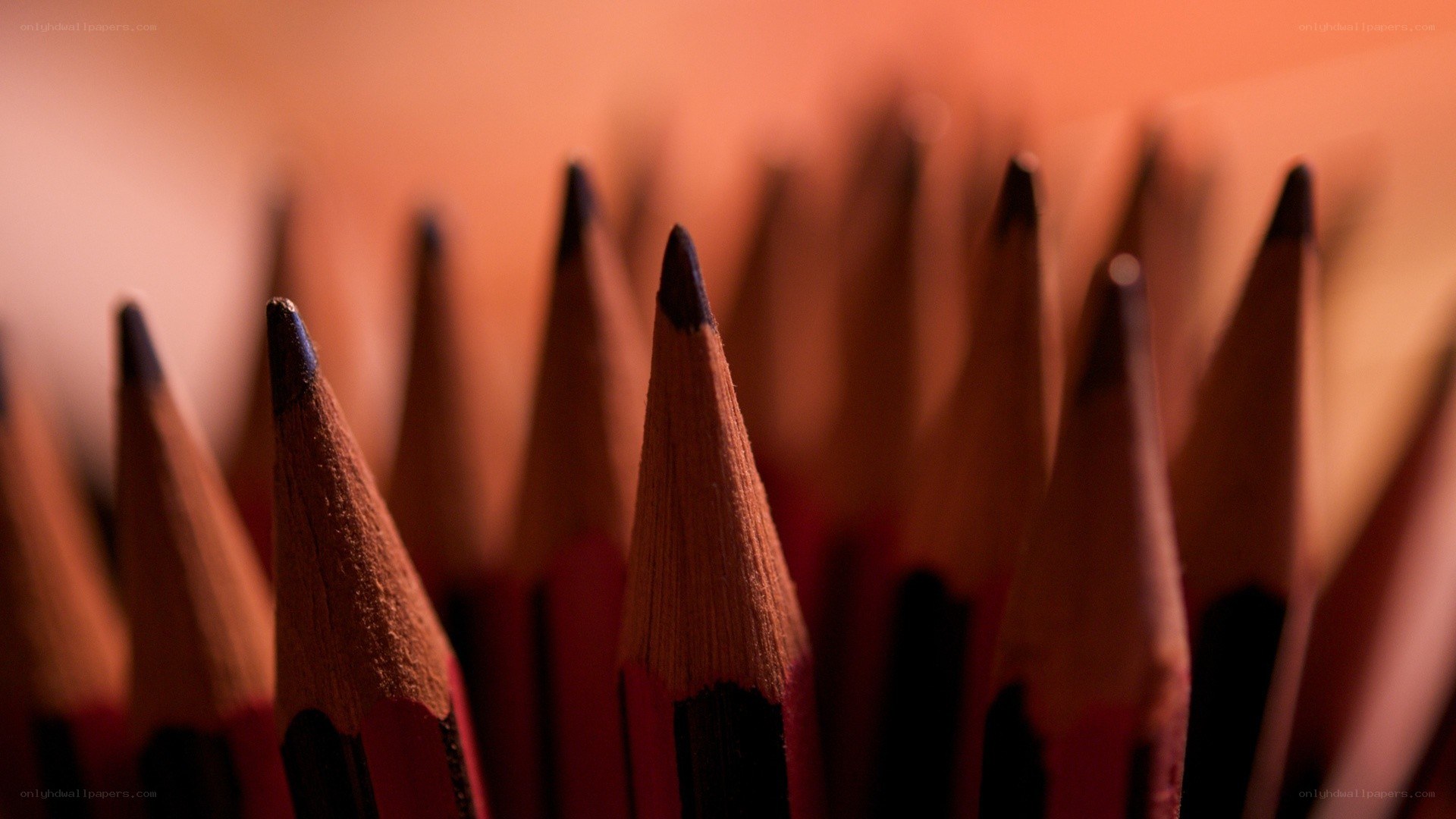Close-up of sharpened pencils