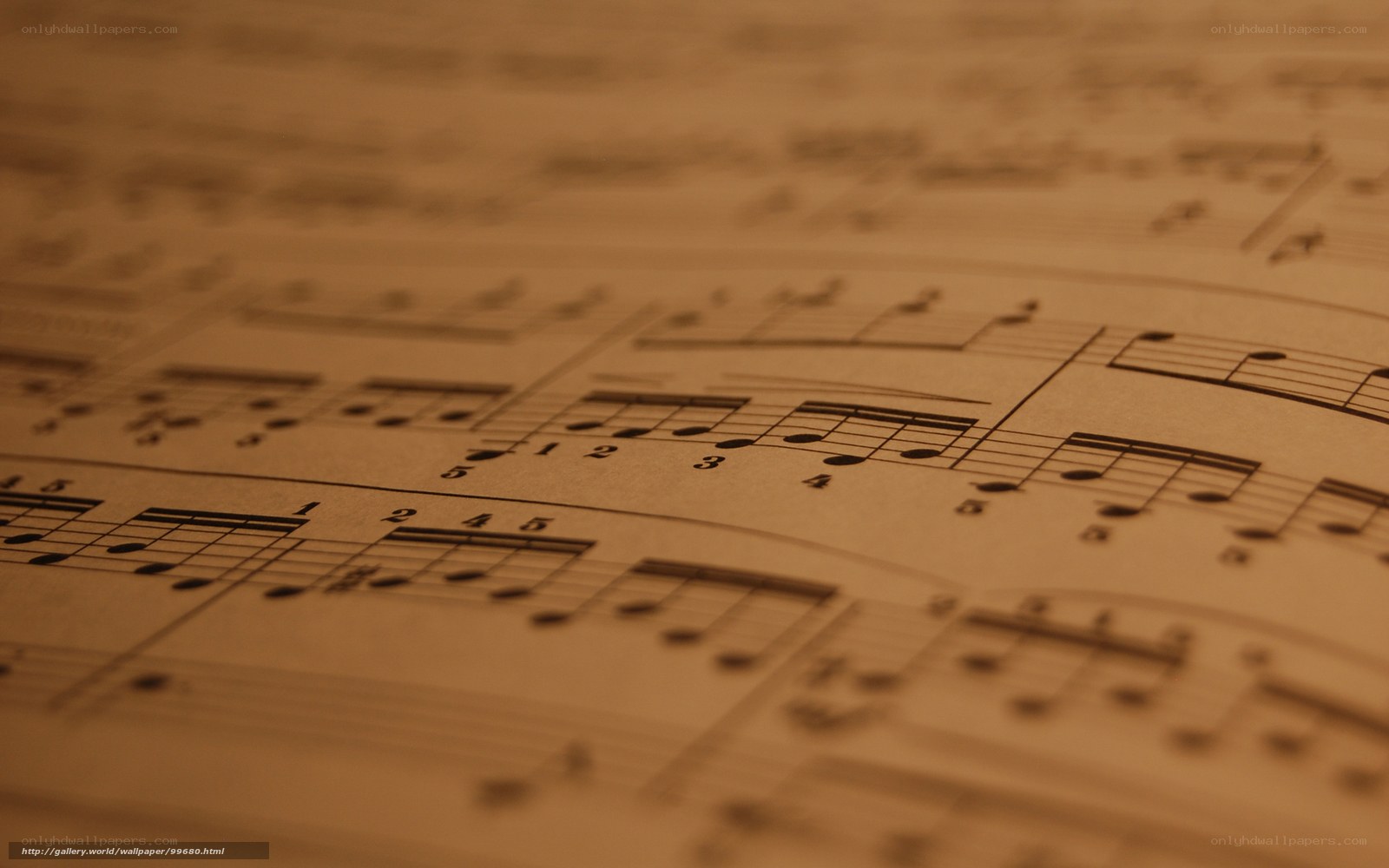 close-up of sheet music