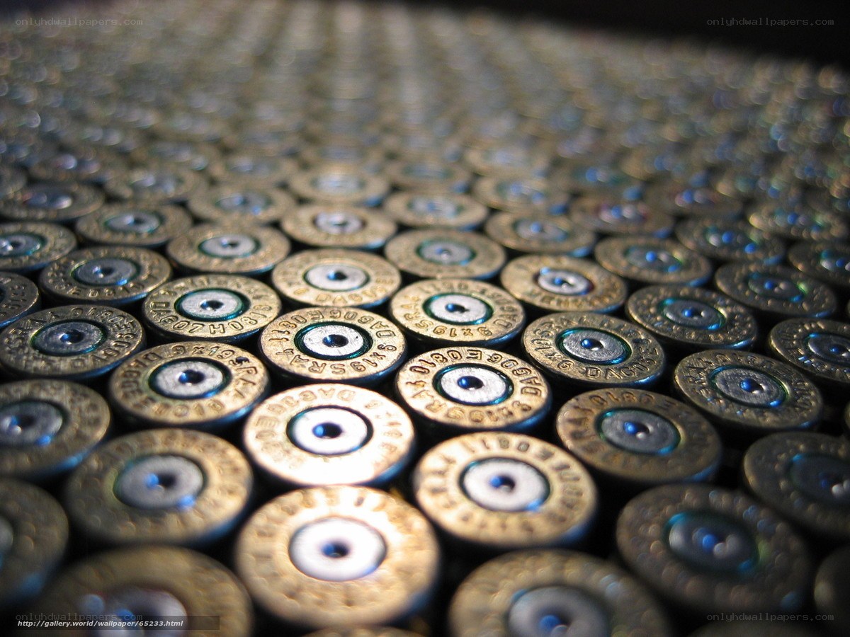 Close-up of shotgun shells
