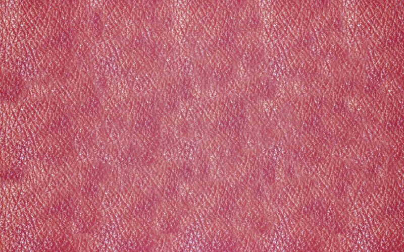 Close-up of Skin Texture — Pink