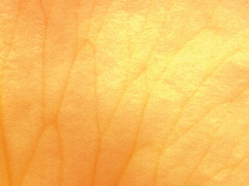 close-up of skin texture