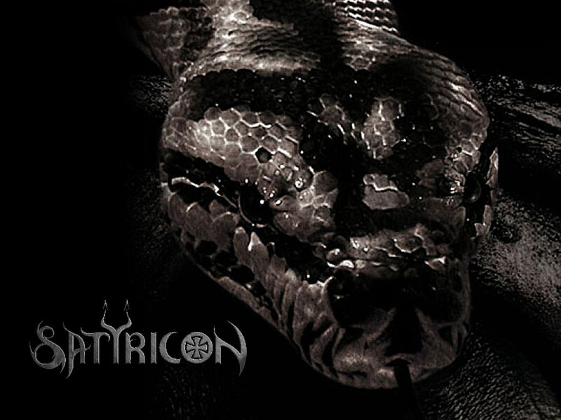 Close-up of Snake Head — Black