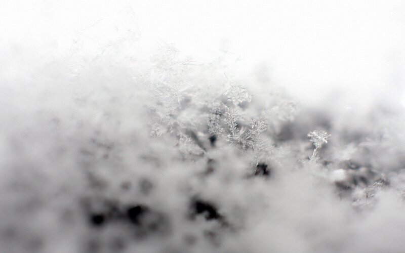 close-up of snow crystals