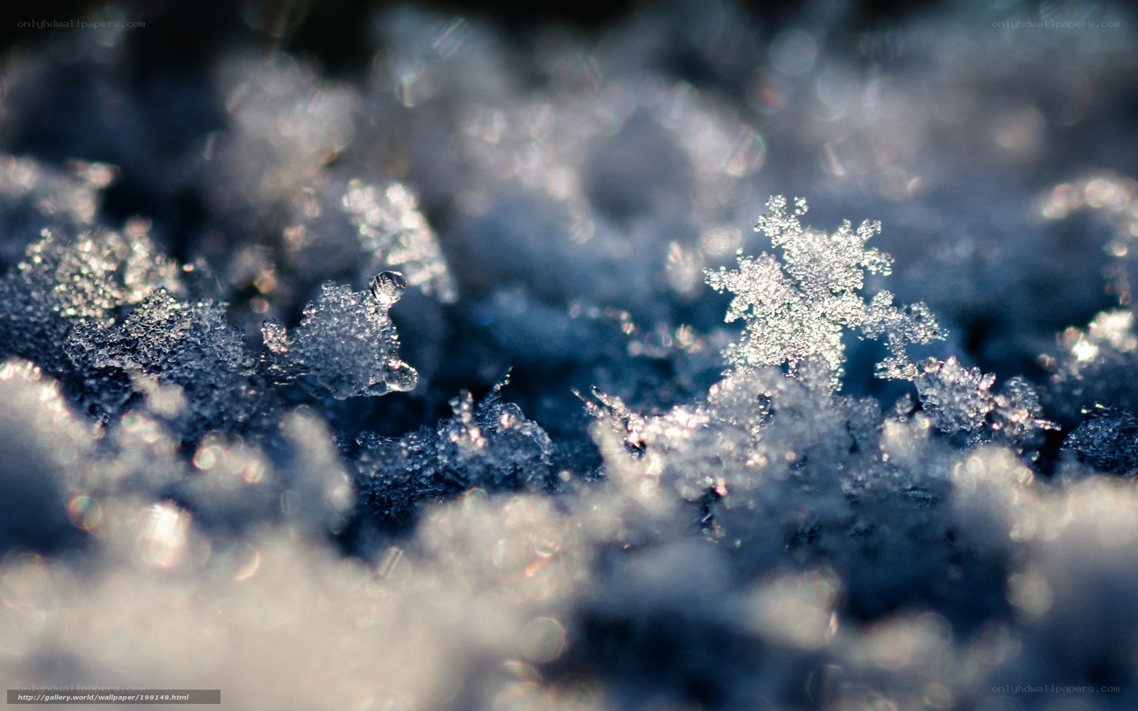 Close-up of snow crystals