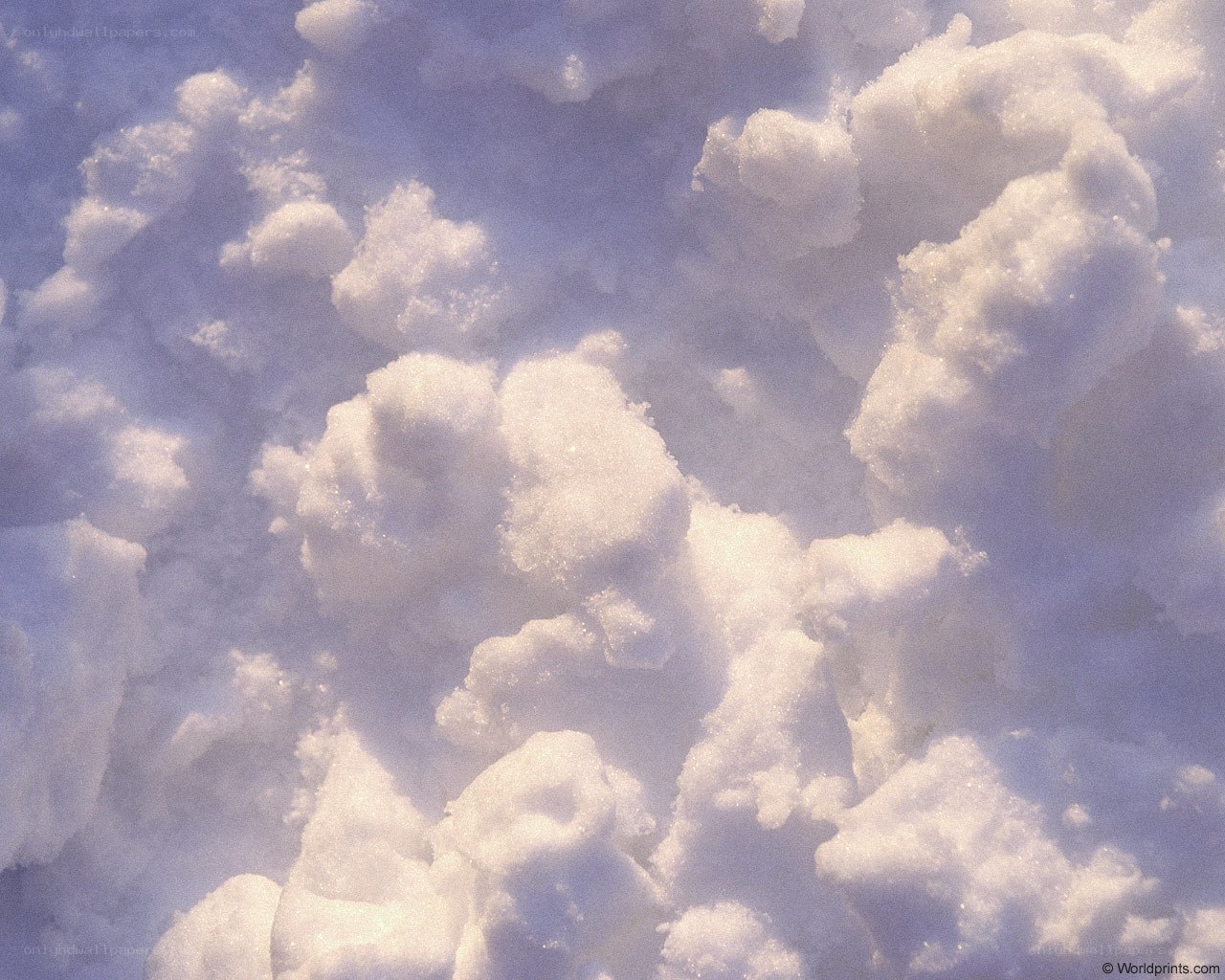 Close-up of snow texture