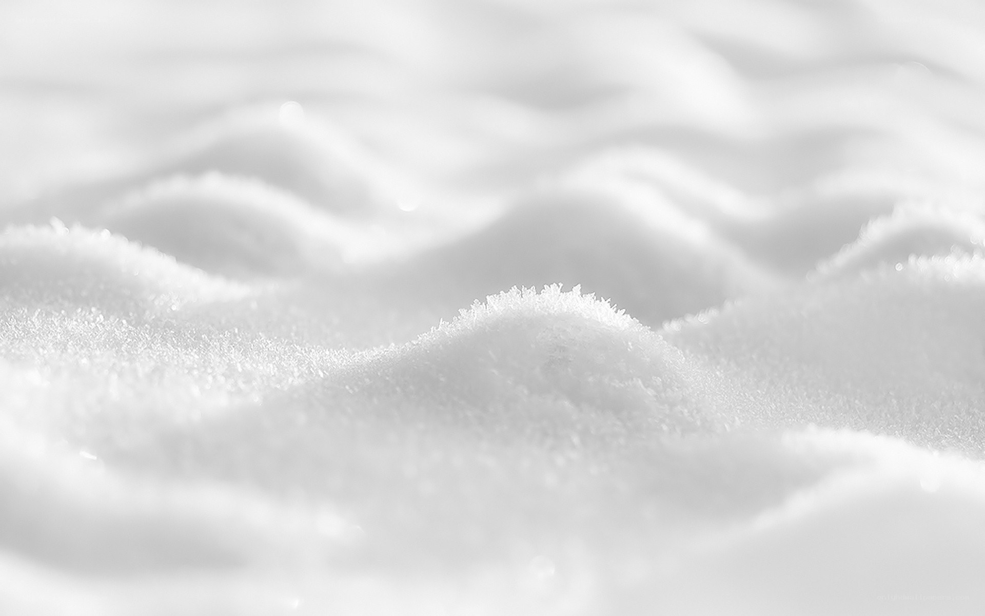 Close-up of snow texture