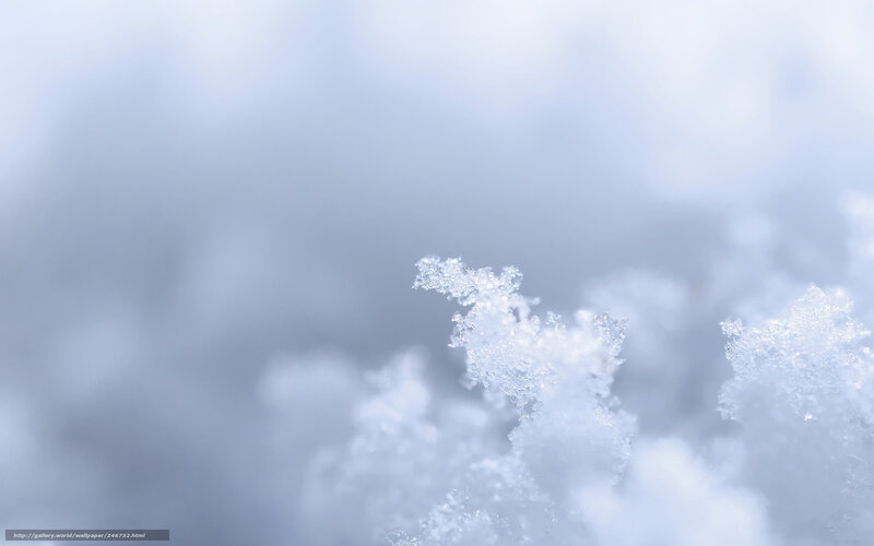 Close-up of snowflake crystals